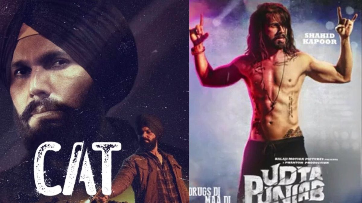 Will Randeep Hooda's CAT Be Another Udta Punjab? All You Need To Know About Netflix Series